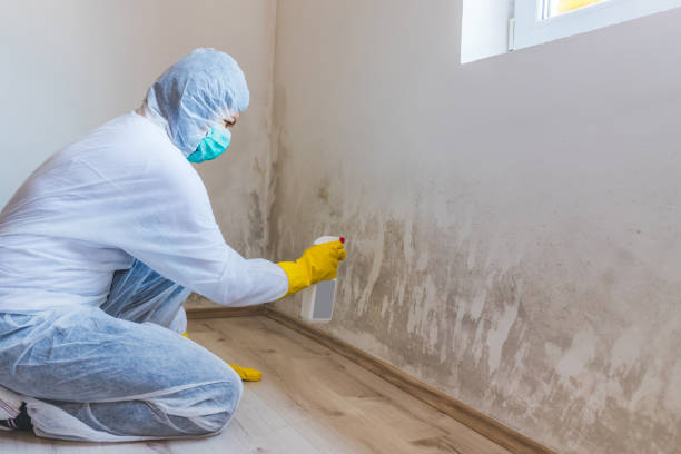 Mold Remediation specialist working in Painter