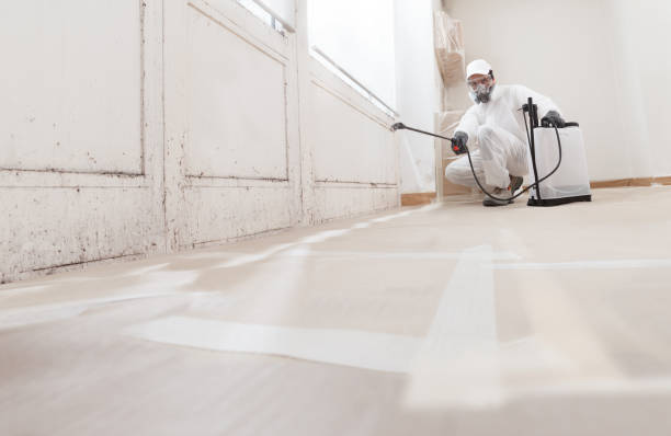 Black mold remediation team in Painter