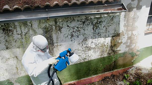 Mold Remediation service in Painter, Painter, VA
